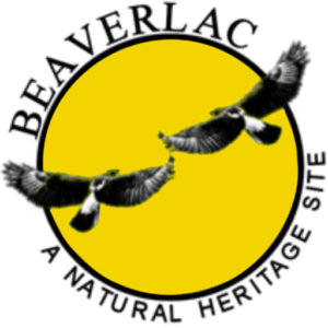 https://www.beaverlac.co.za/wp-content/uploads/2020/10/cropped-beaverlac-logo.png